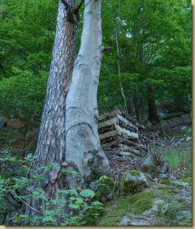 unione impossibile...