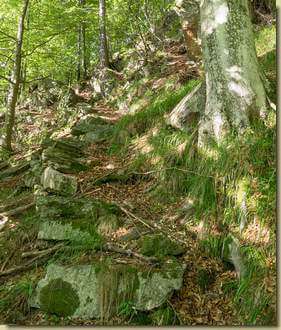 il vecchio sentiero...