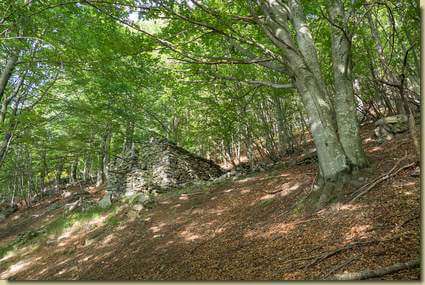 la baita superiore di Ai Sas...