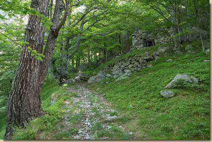 sul sentiero per Cortevecchio...