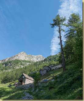 Alpe Cortevecchio...