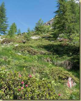 salendo a Predenon...