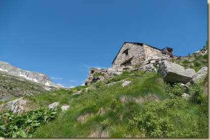 arrivo all'Alpe Predenon...