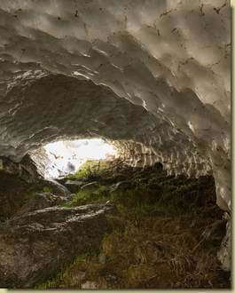 salendo verso l'uscita...