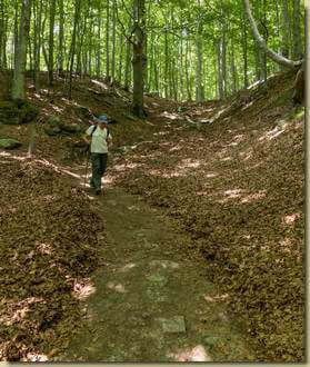 sentiero ripulito...