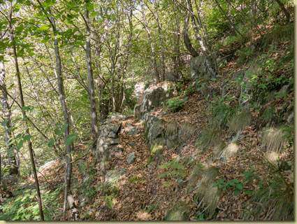 sul sentiero per Albarina...