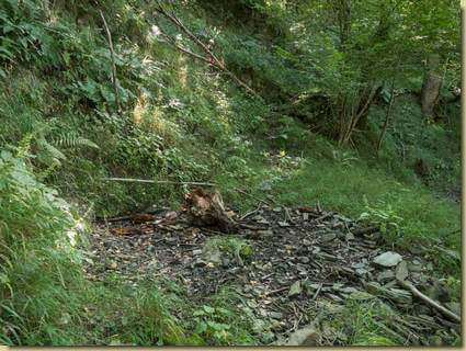 la sorgente dell'alpe...