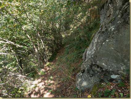 sul sentiero verso il torrente...