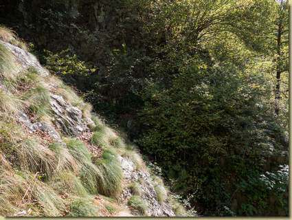 passaggio incerto...