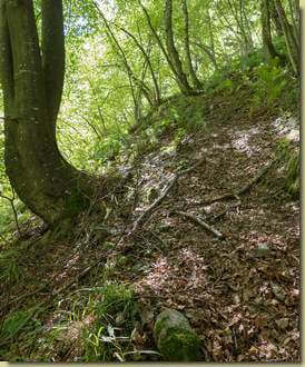 il sentiero risale il versante opposto...