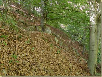 incrocio con il sentiero principale della valle...
