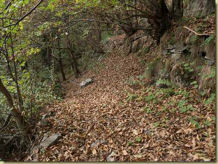 sul sentiero verso Pianezza...