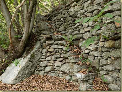 scalette di accesso ai terrazzamenti...
