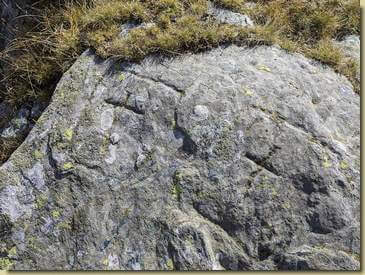 Croci incise nella roccia al Passo del Fornetto...