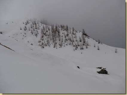 all'Alpe di Cama superiore...