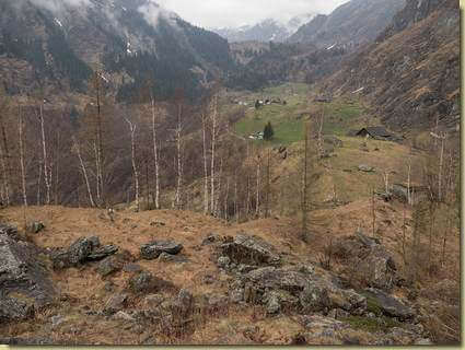 scendendo verso l'Alpe Gi Togn...