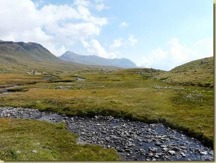 sui prati dell'Alpe Forno