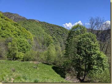 il prato dell'Alpe Cortetti...