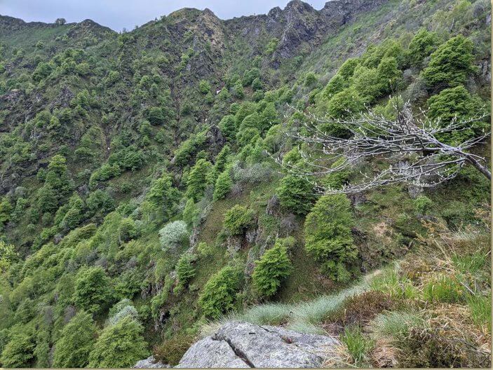 Valle Duggia...