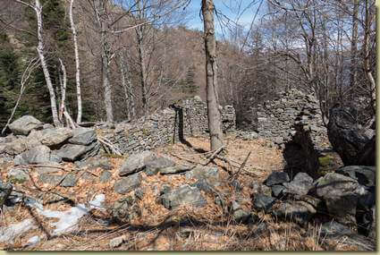all'Alpe del Balum...