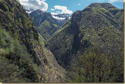 la bella Valle del Rio di Anzola...