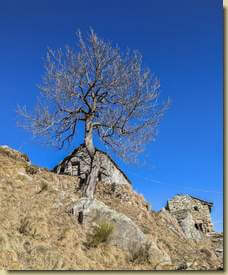 ritorno all'Alpe Vallon Ferraris...