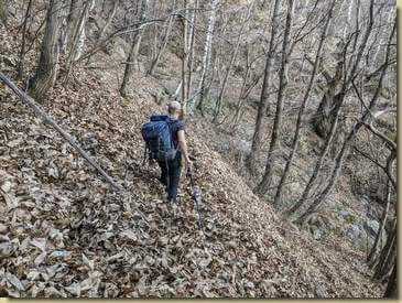 accumuli di foglie sul sentiero...