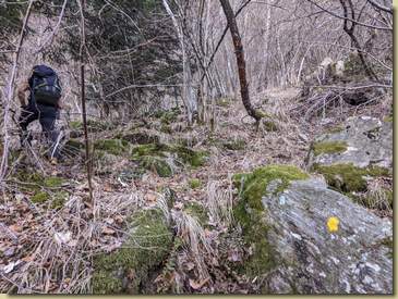 per salire lungo una labile traccia segnalata a tratti da vernice gialla...