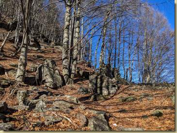 all'Alpe Canvascia...