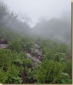 verso la bocchetta...