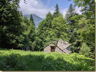 divagazione per l'Alpe Rogo...