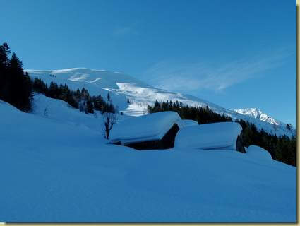 Alpe Selvaccia...