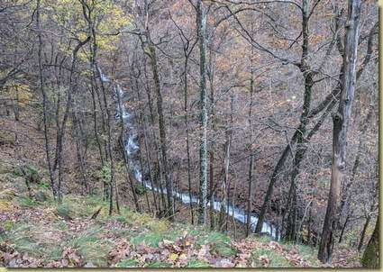 sul fondo serpeggia il Rio della Valle...