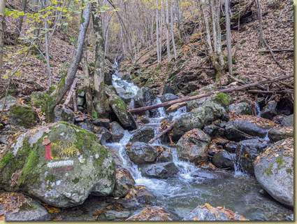 Rio della Valle (o Croso Pacalotto...)...
