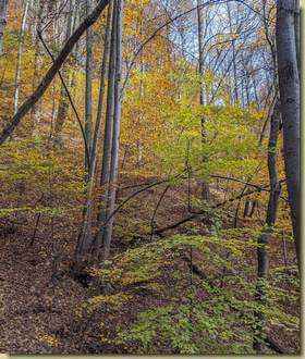 autunno...