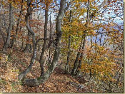 autunno...