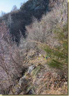 traverso intricato...