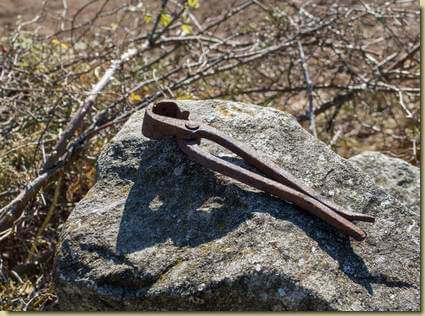 tenaglia dei tempi passati...