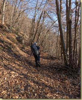 sul sentiero per Balmella...