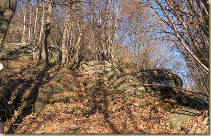 terrazzamenti "arrotondati"...