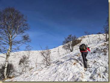 verso la cima del Camossaro...