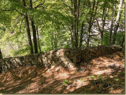 muro paravalanghe...