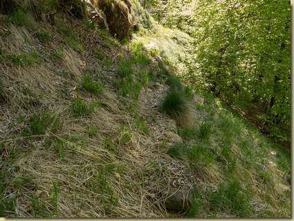 la stradina dei carrelli...