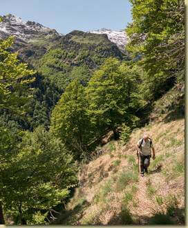 Fiorenzo sul sentiero...
