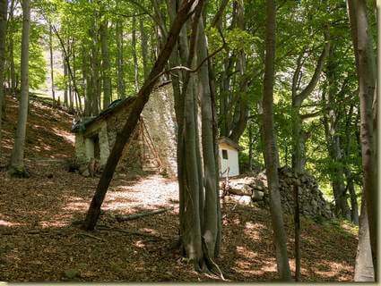 baita nel bosco...