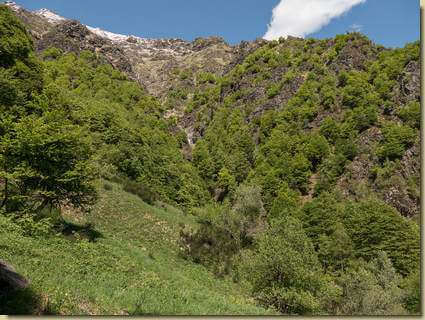 il versante che sale verso la Cima di Ravinella...