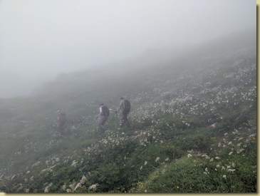 verso l'Alpe Cossarello...