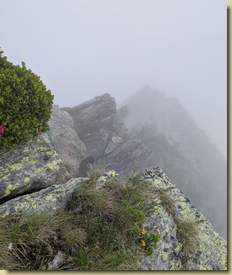 nella nebbia...