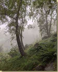 verso la nebbia...