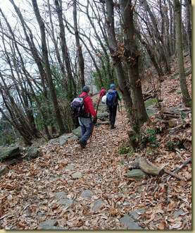 scendendo verso il lago...